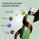 Protein-Repair Conditioner