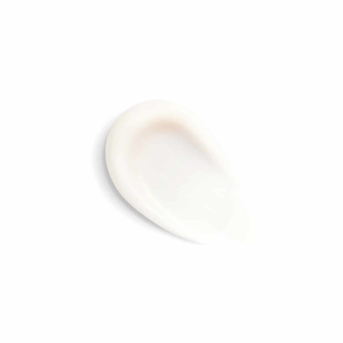 Phyto-teint Primer Matte