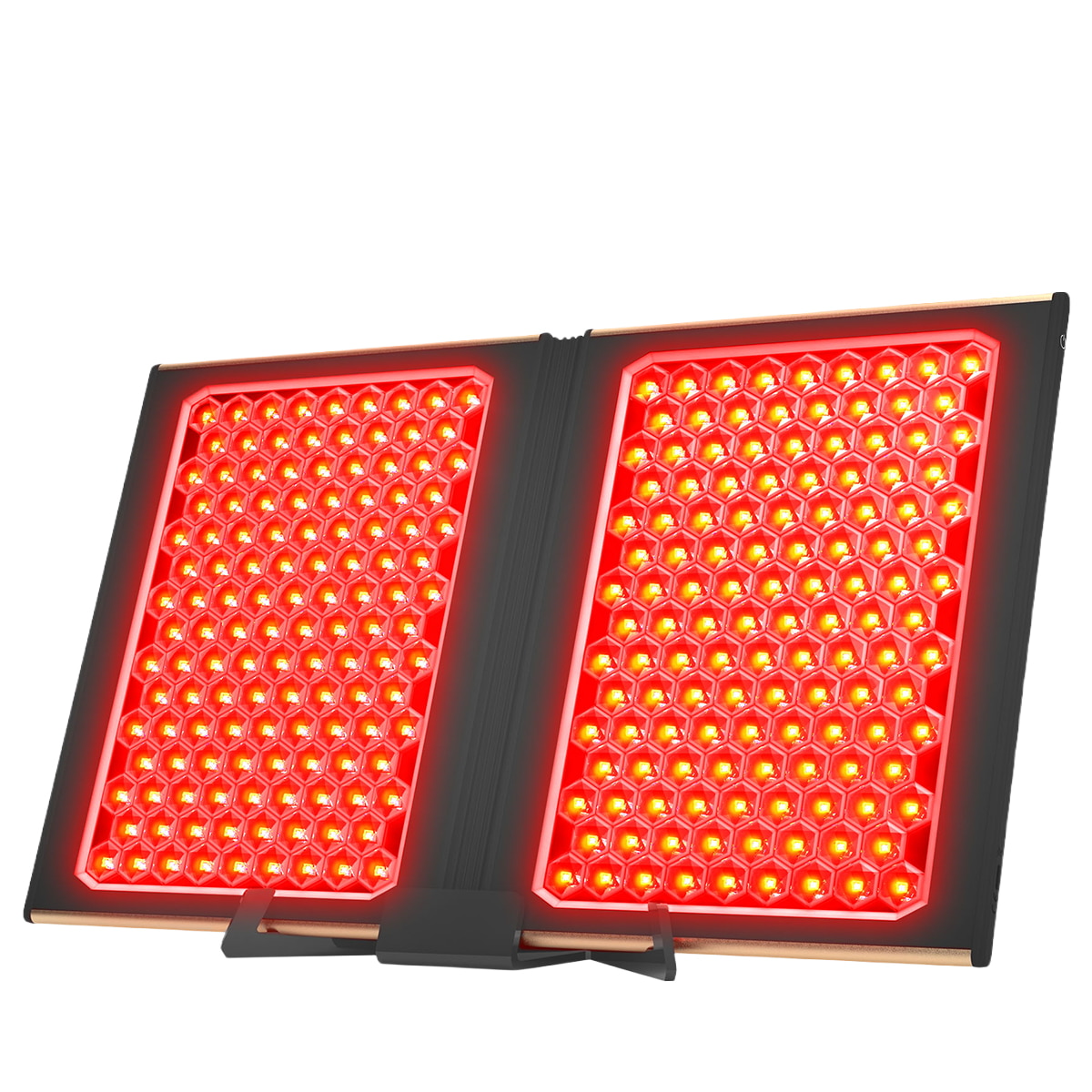 Dual LED Panel