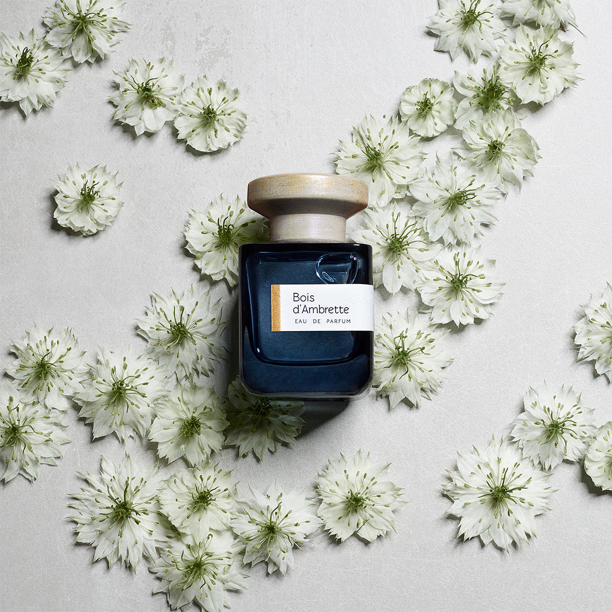 Bois d'Ambrette Eau de Parfum