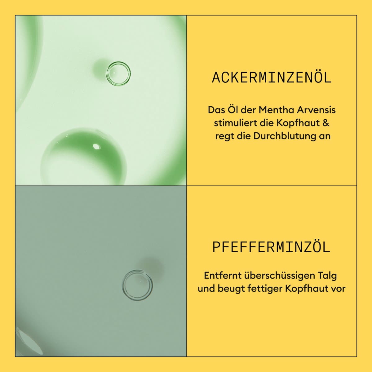 Scalp + Hair Conditioner