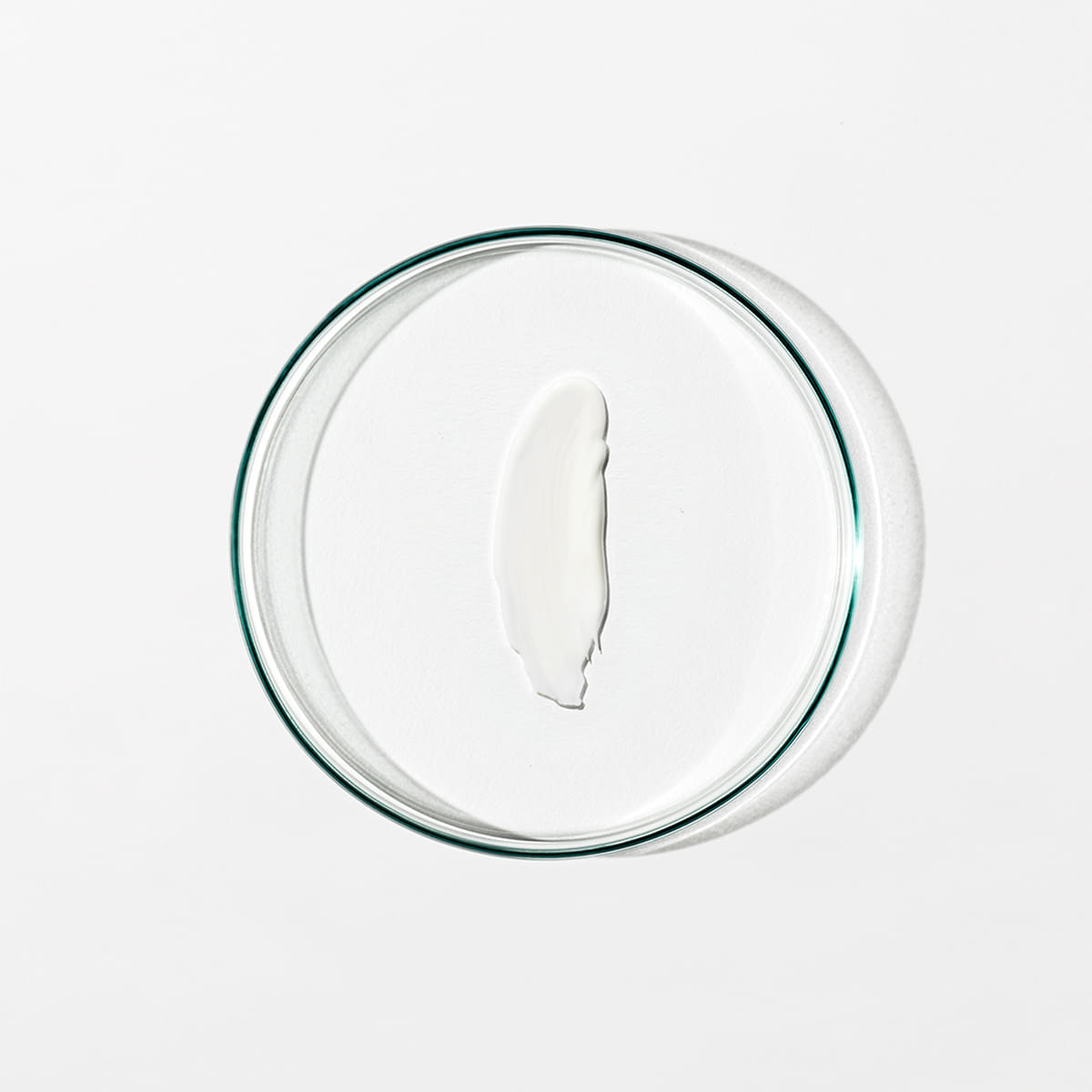 Skin Renewal Day Cream