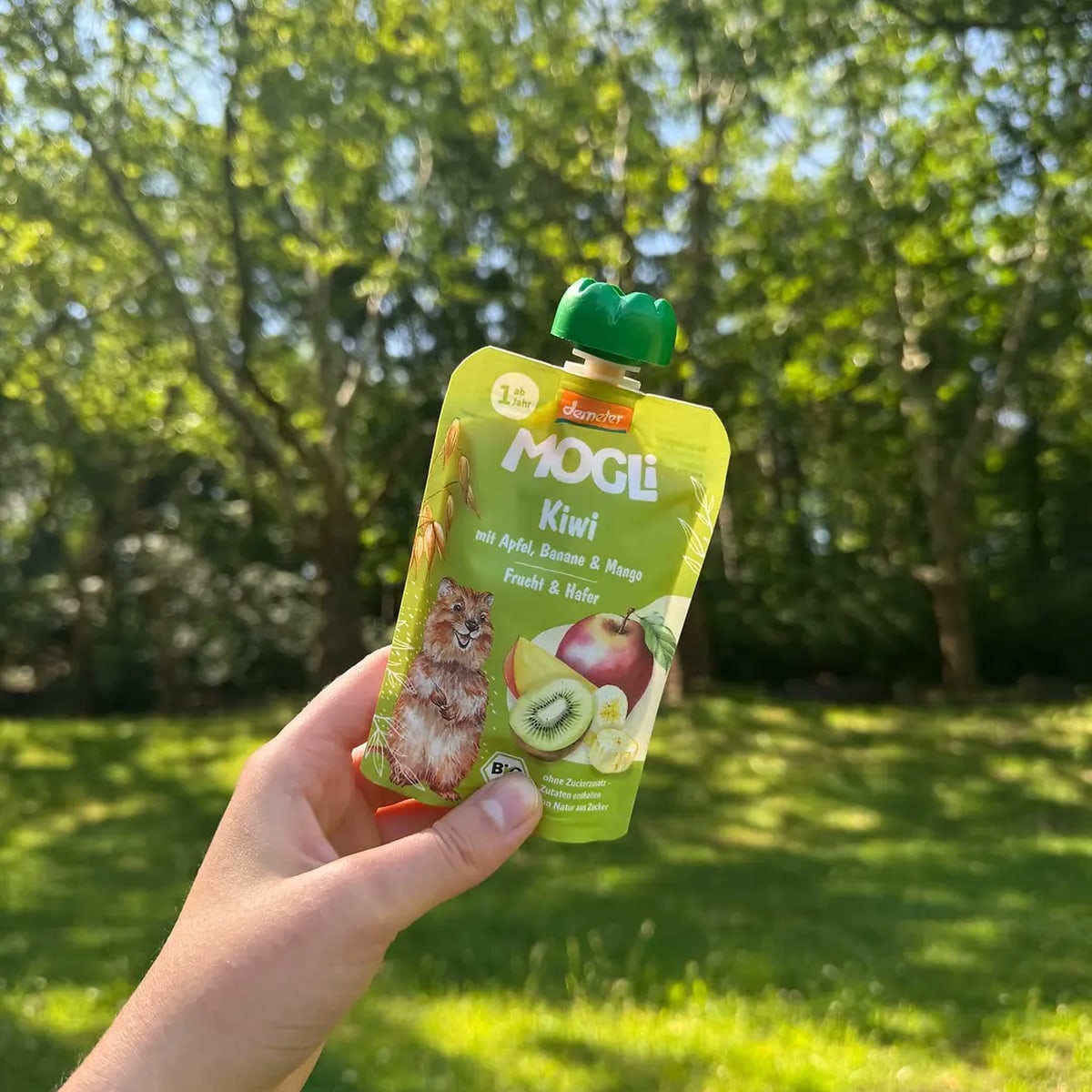 Apple Puree with Kiwi