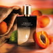 Apricot Innocence Parfum Nectar Eau de Parfum