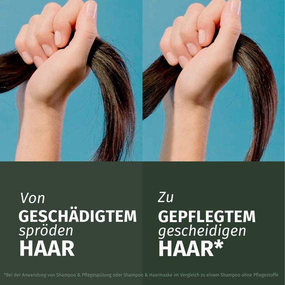 Repair Arganöl Shampoo
