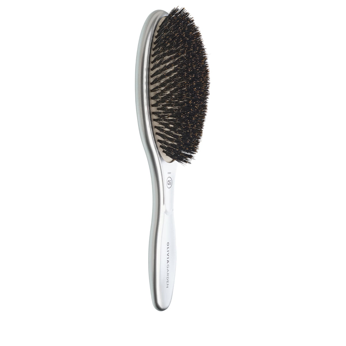 Expert Care Oval Boar Bristles Silver