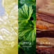Inspired Nature Man Eau De Parfum
