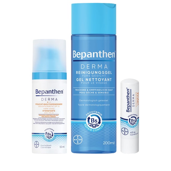 Clean & Protect Set