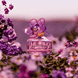Paradise Eau de Toilette