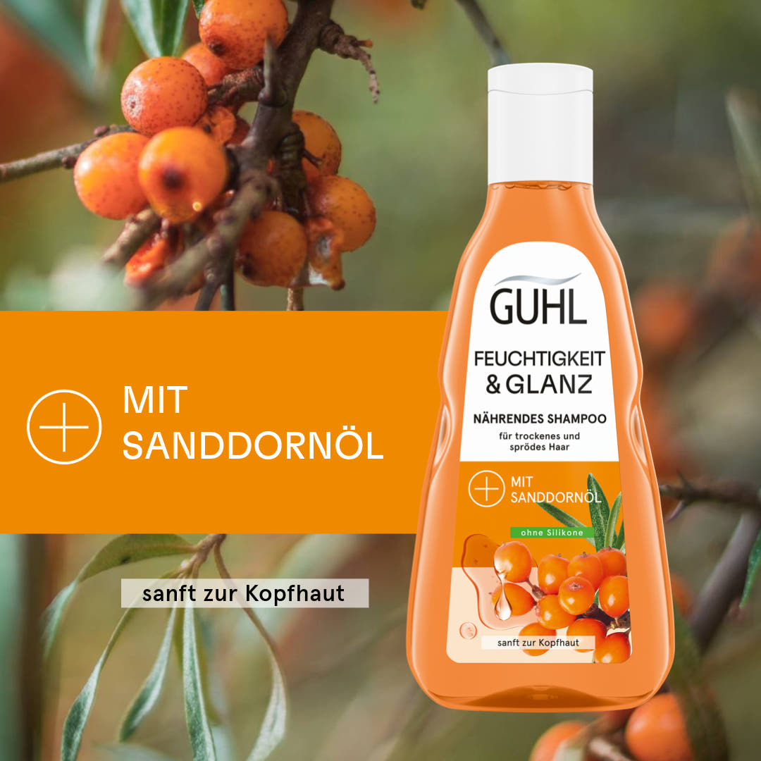 Feuchtigkeit & Glanz Shampoo
