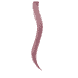 Tape Extensions 40/45 cm - Lilac