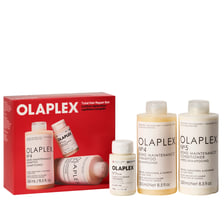 Total Hair Repair Holiday Kit