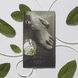 Collagen Socks Peppermint