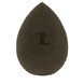 Complexion Sponge