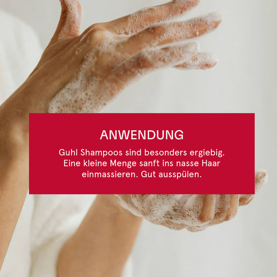 Color Schutz & Pflege Shampoo