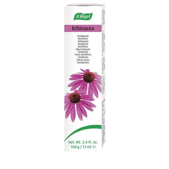 Echinacea Toothpaste