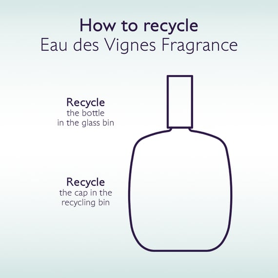 Fresh Fragrance