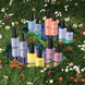 Across The Mani-Verse