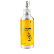Marmotte Ruhe der Alpen Massageöl