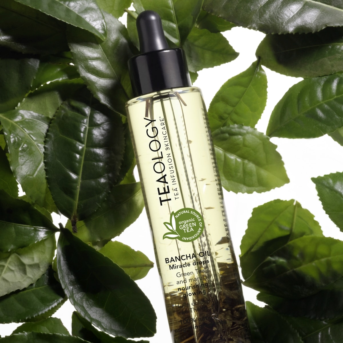 Bancha Oil