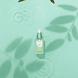 The Perfect Matcha 3-in-1 Beauty Water