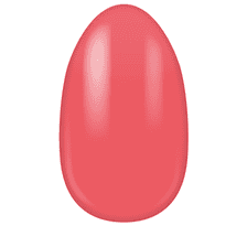 Coral Crush