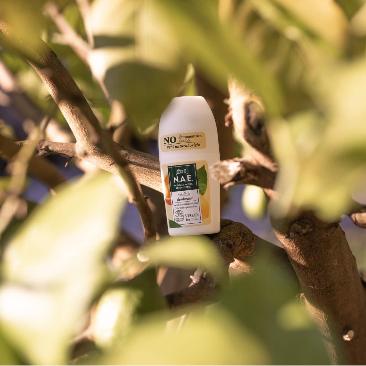 Vitalisierendes Deo Roll-on