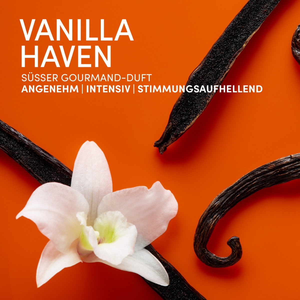 Vanilla Haven Eau De Parfum