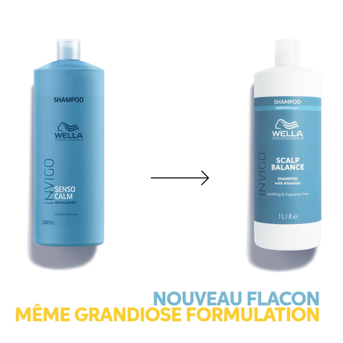 Calm Shampoo