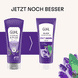 Silber Glanz & Pflege 2in1 Anti-Gelbstich Kur & Spülung