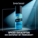 Spiced Eucalyptus Deo Body Spray