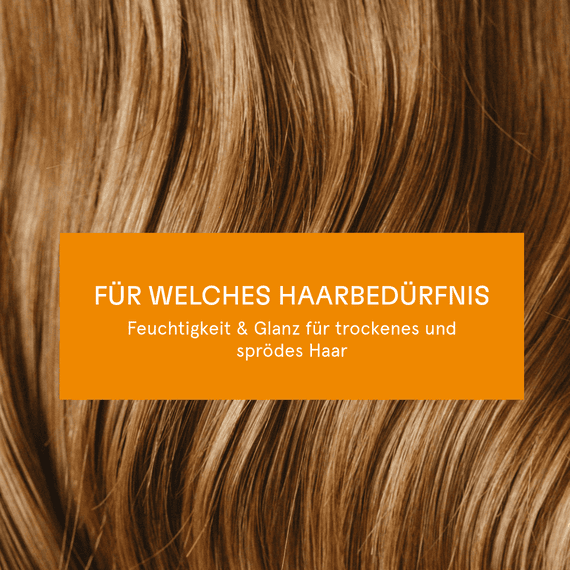 Feuchtigkeit & Glanz Shampoo