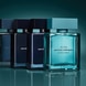 Vetiver Musc Eau de Toilette