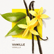 Clean Beauty Hand Cream Vanille