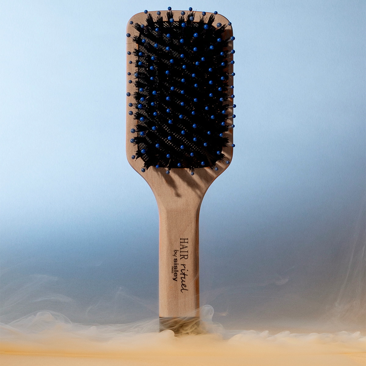 Petite Brosse Brillance & Douceur