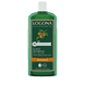 Glanz Shampoo Bio-Arganöl