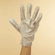 Collagen Gloves Peppermint