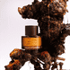Magico Safrano Extrait de Parfum