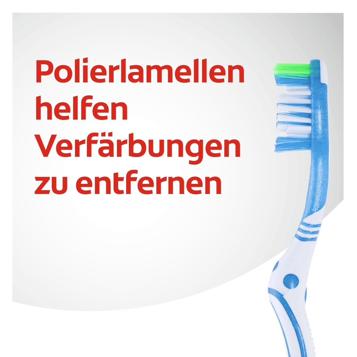 Max White Brosse à Dents Medium