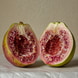 Black Guava Extrait de Parfum