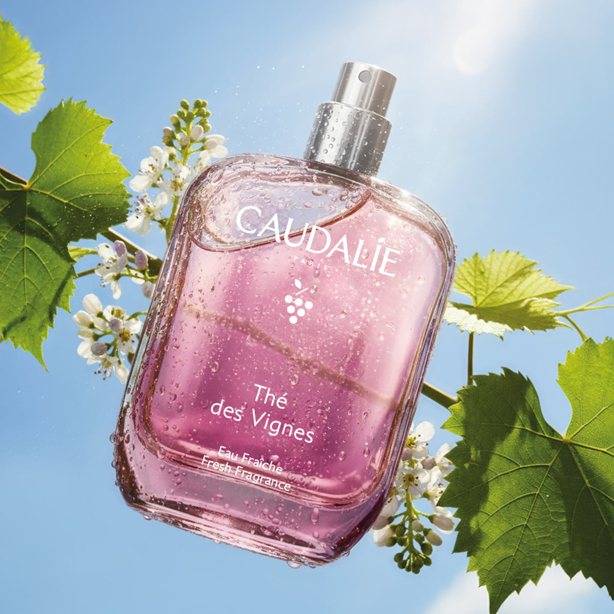 Eau Fraîche