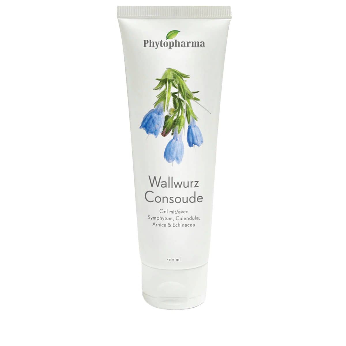 Gel Wallwort