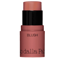 All In One Blush 45