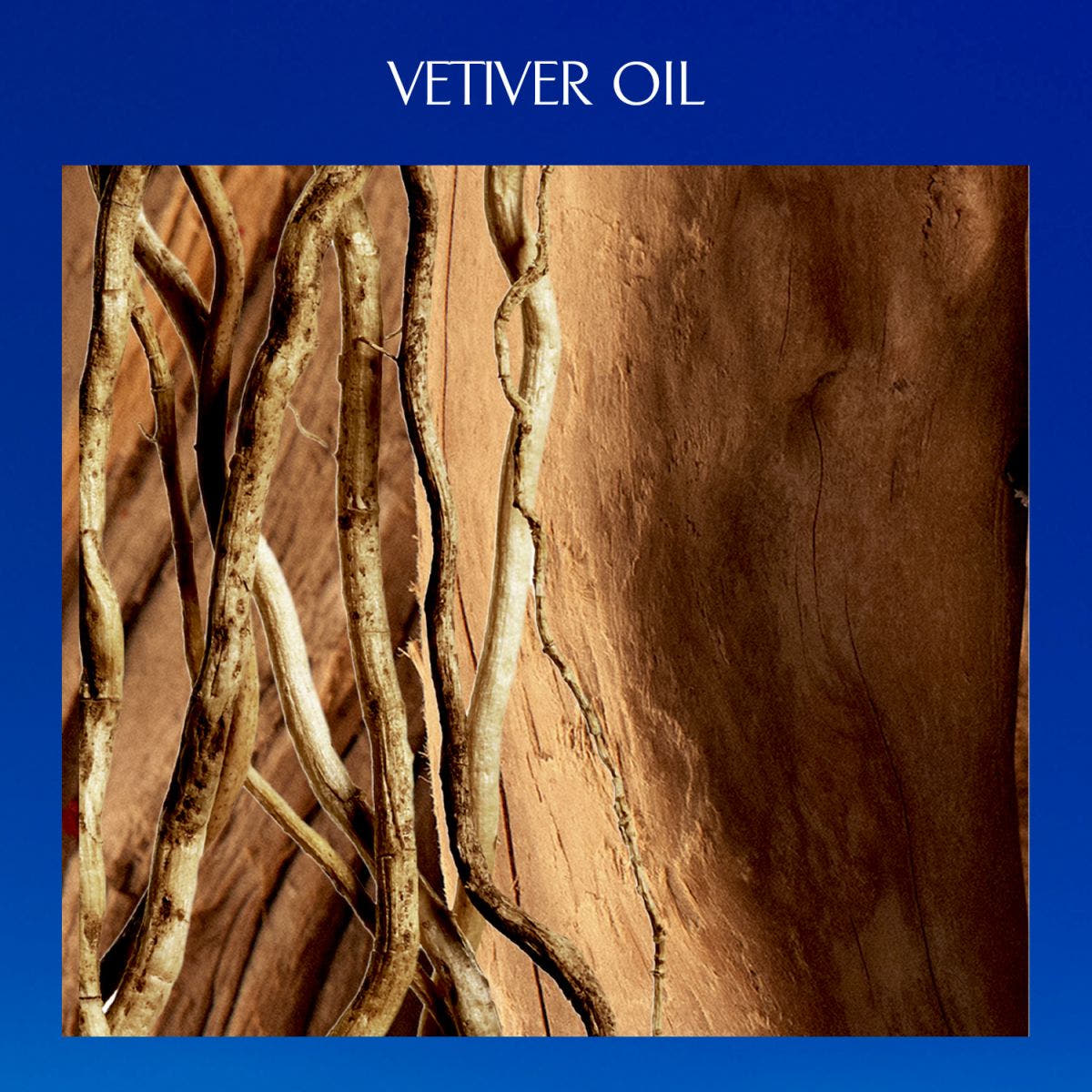 Parfum Man Parfum