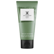 Repair Shampoo