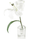 MyLO Eau de Parfum 
