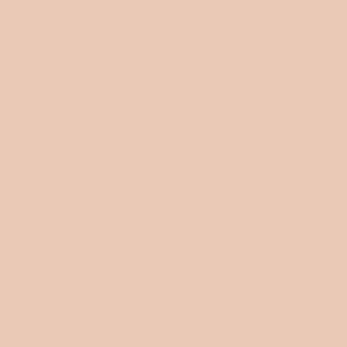 Lipglass Cushion High-Pigment Oil 