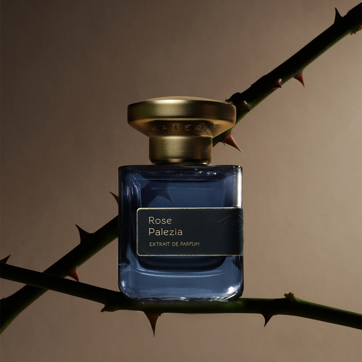 Rose Palezia Extrait de Parfum
