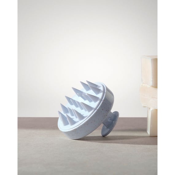 Scalp Brush