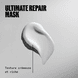 Masque Capillaire